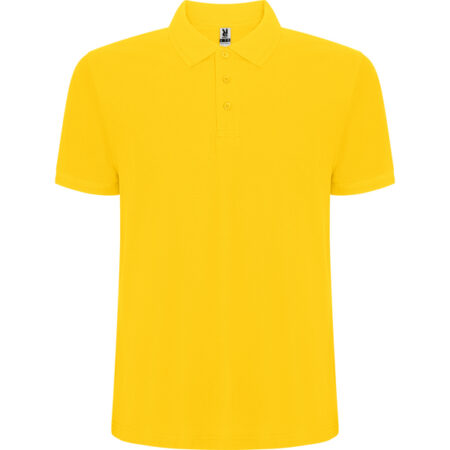 Polo Pegaso - Imagen 3