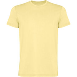 Camiseta corgi