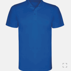 POLO MONZHA